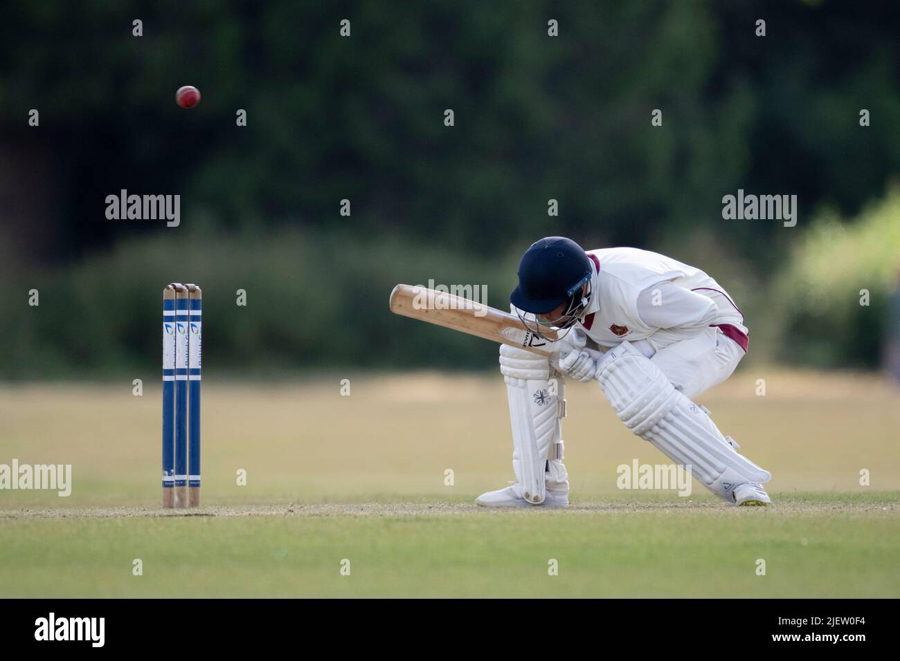 Cricket-Schläger, der vom bowlerÕs-Türsteher duckt Stockfoto