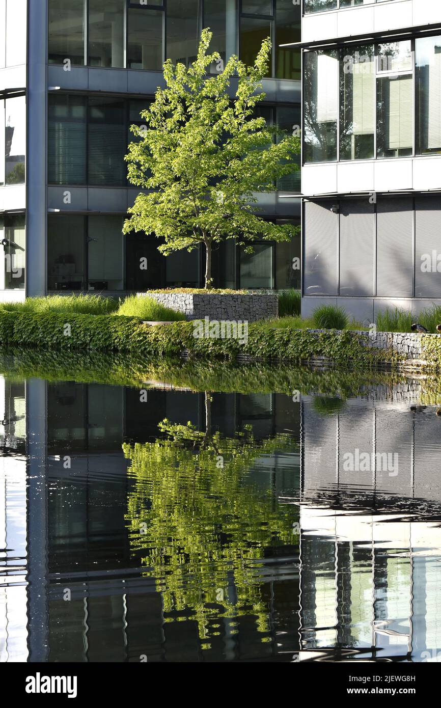 Der Park - moderne Bürogebäude und Landschaft mit Seen in Chodov Bezirk von Prag Tschechische Republik. Stockfoto