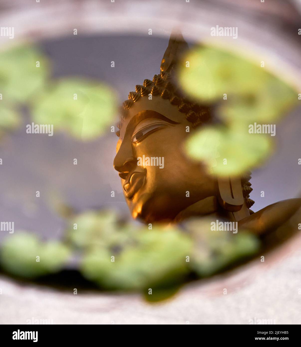 Buddha-Kopf spiegelt sich in der Wasserschale Stockfoto