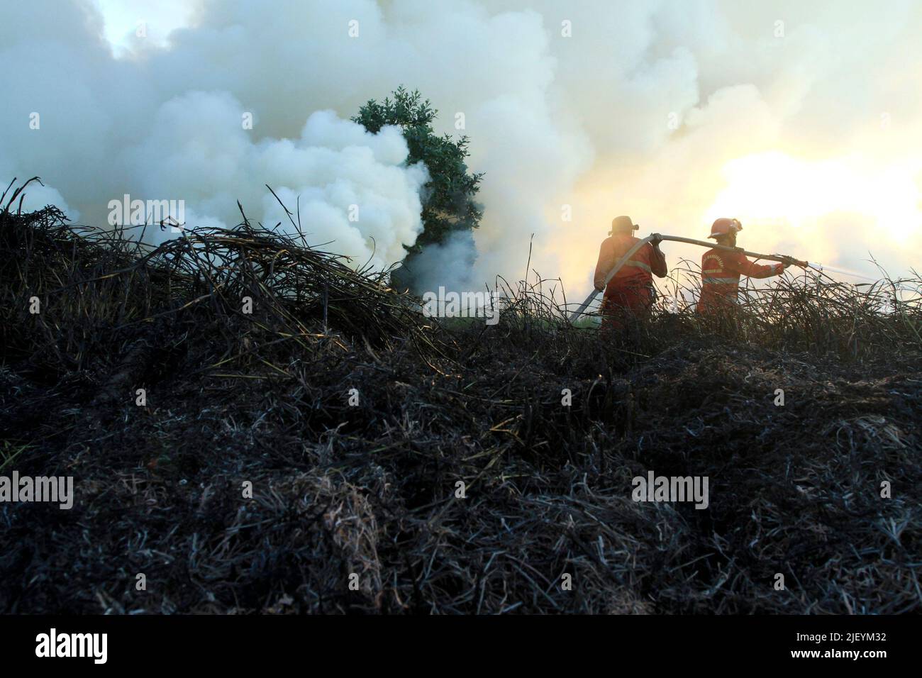 SÜDSUMATRA, 28. Juni 2022 (Xinhua) -- Feuerwehrleute versuchen, das Torffeuer im Dorf Arisan Jaya in Südsumatra, Indonesien, zu löschen, 28. Juni 2022. (Foto von M. Hatta/Xinhua) Stockfoto