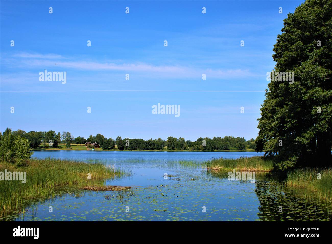 Die schöne Natur Lettlands. Stockfoto