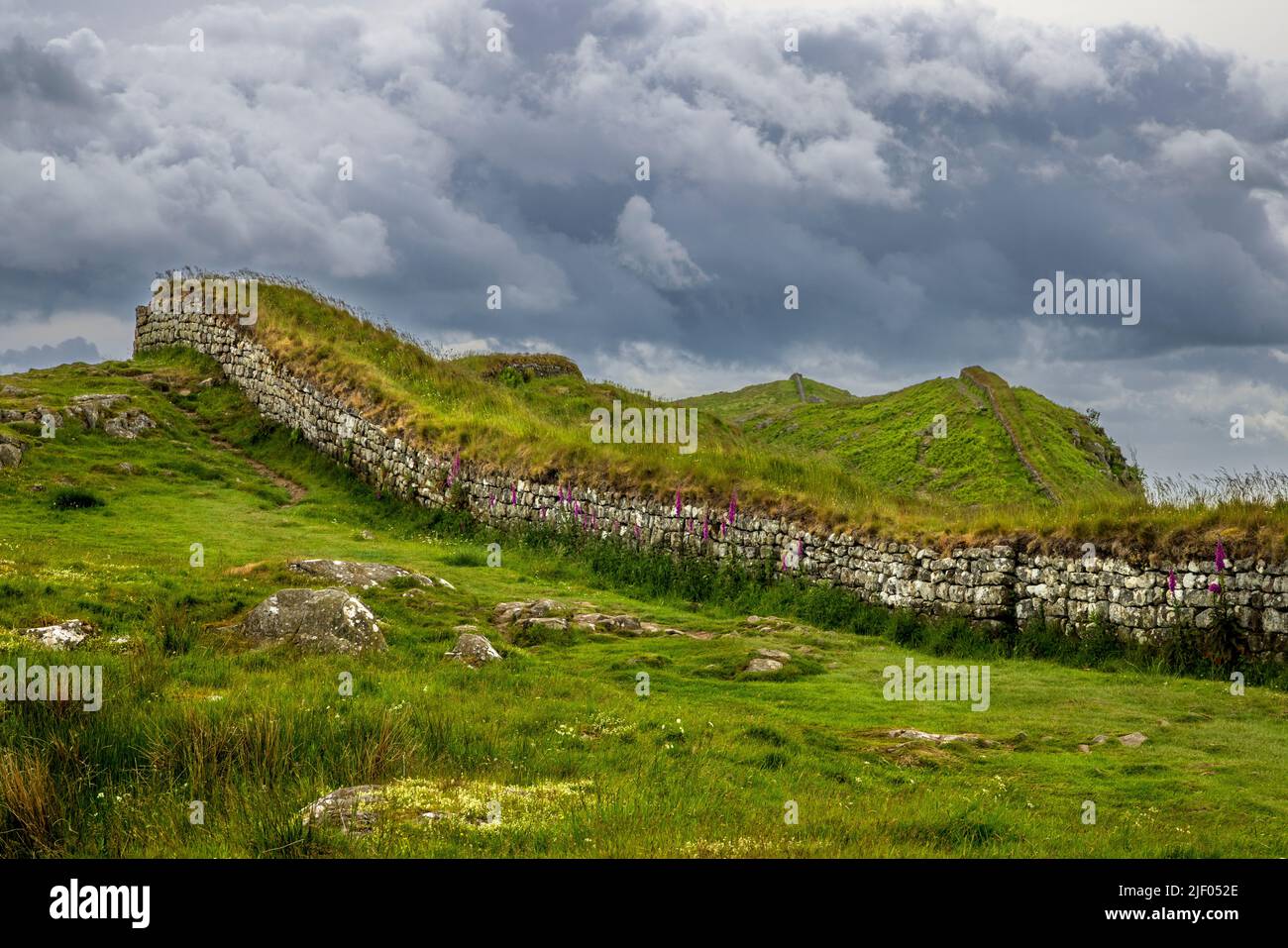 Westlich entlang der Hadrianmauer entlang der Felsformation Whin Sill in der Nähe des römischen Fort Housesteads, Northumberland, England Stockfoto