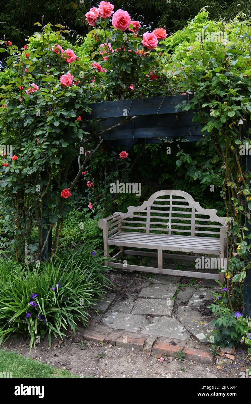 Gartenbank und Rosen Stockfoto