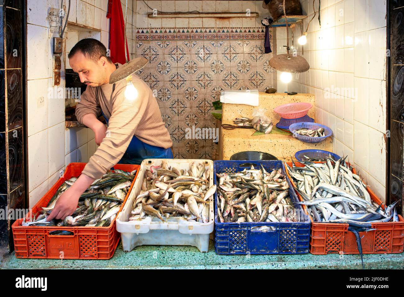 Marokko Fez. Fischhändler in der Medina Stockfoto