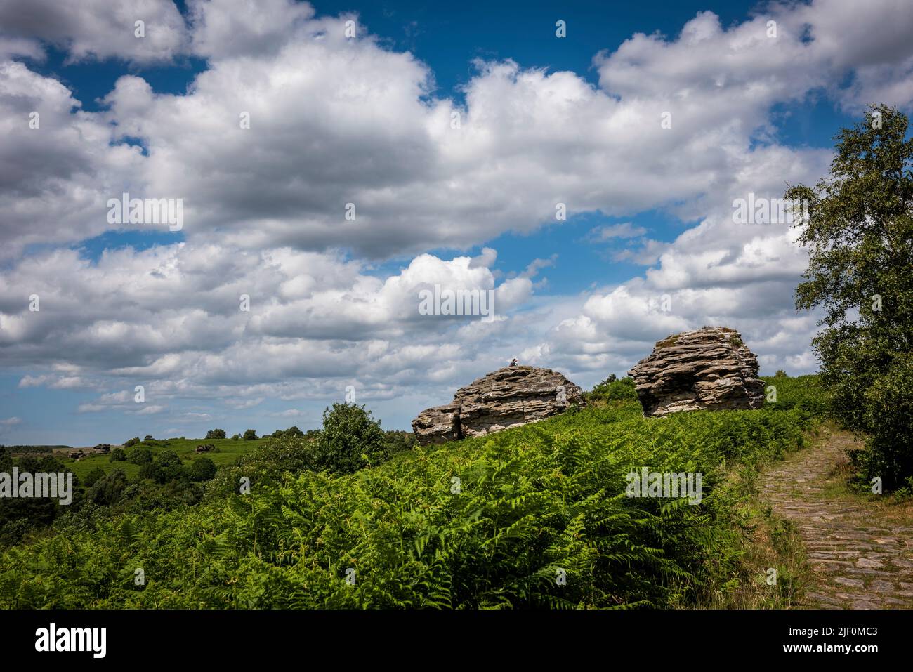 Die natürlichen Felsformationen von Bridestones, die durch Erosion im Dalby Forest, North Yorkshire, Großbritannien, entstanden sind Stockfoto