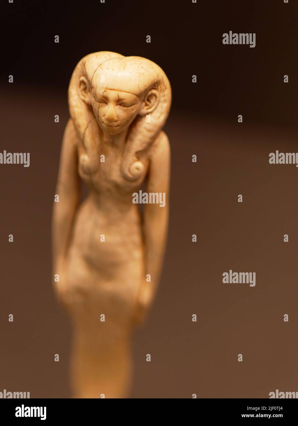 OLYMPUS DIGITALKAMERA Stockfoto