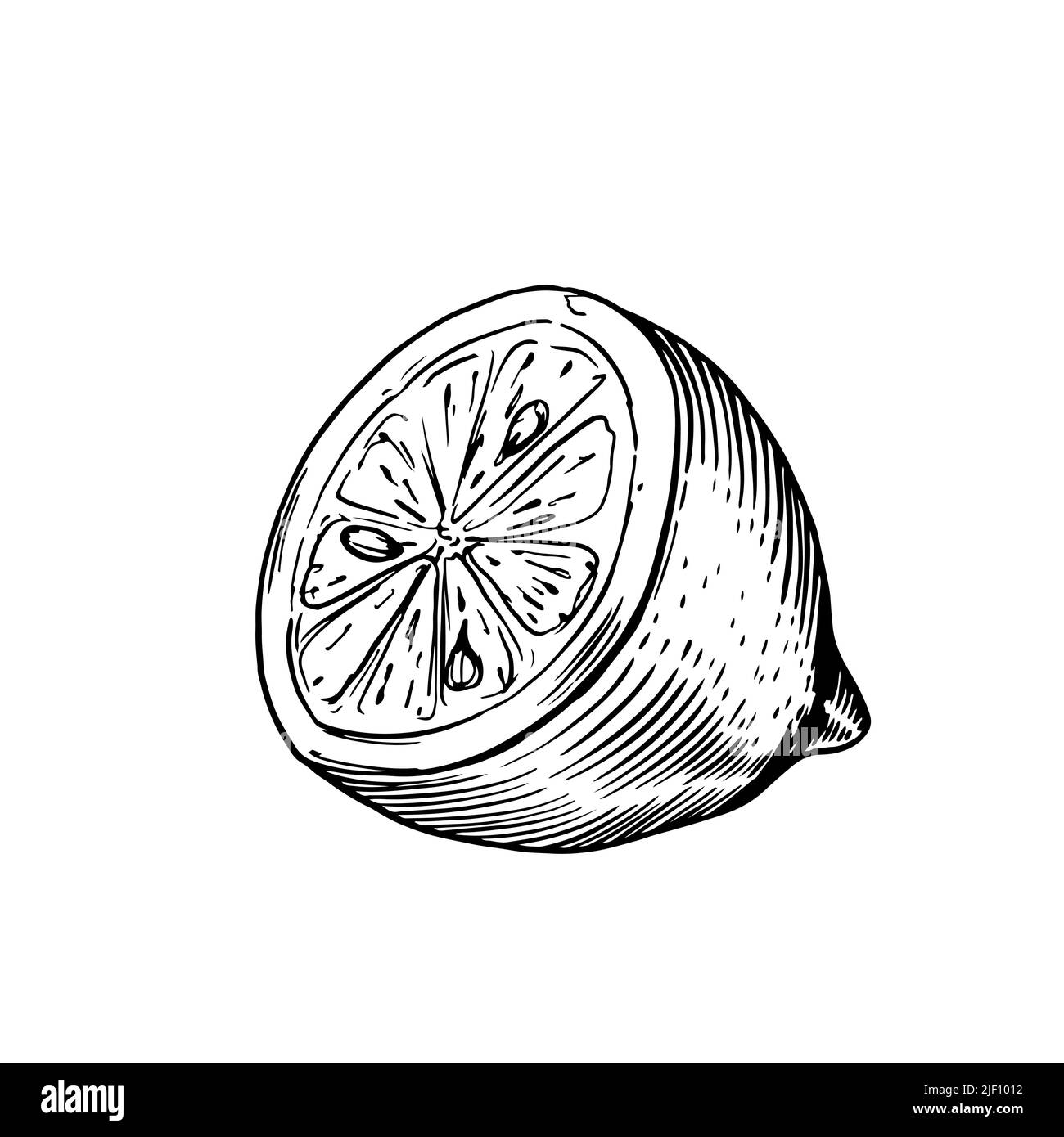 Geschnittene Hälfte der Zitronenskizze in klassischem Gravurstil, isoliert auf Weiß Stock Vektor