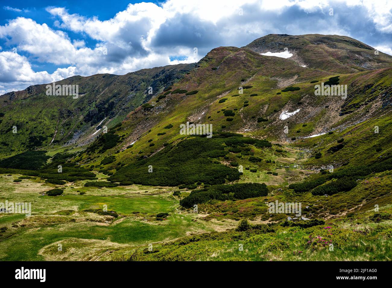 Sommerlandschaft der Rodna (Rodnei) Berge, Karpaten, Rumänien. Stockfoto