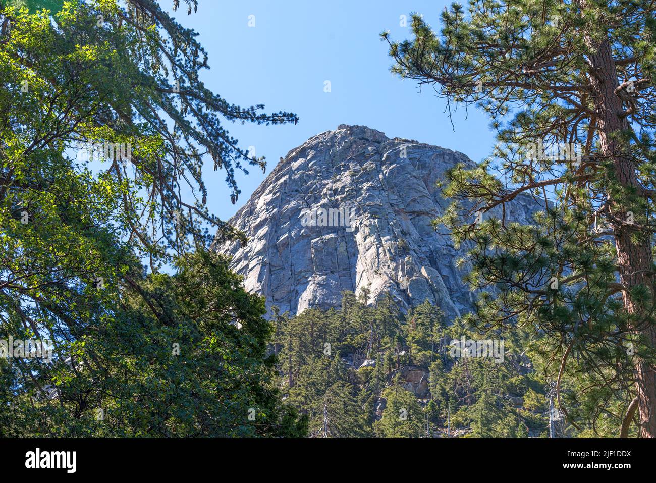 Tahquitz Rock oder Lily Rock vom Humber Park aus gesehen. Idyllwild, Kalifornien, USA. Stockfoto