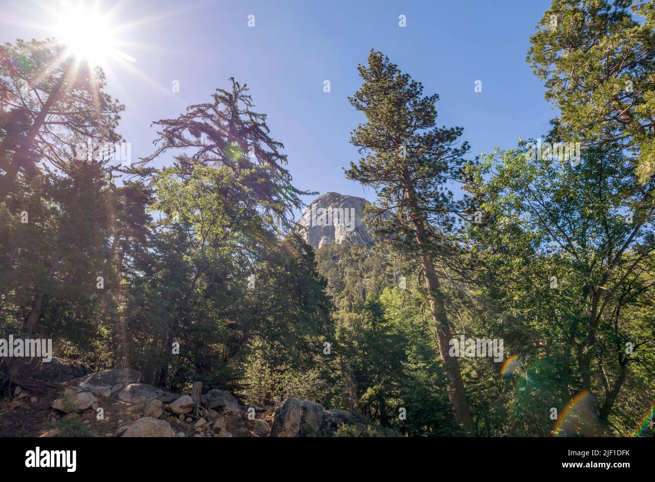 Tahquitz Rock oder Lily Rock vom Humber Park aus gesehen. Idyllwild, Kalifornien, USA. Stockfoto