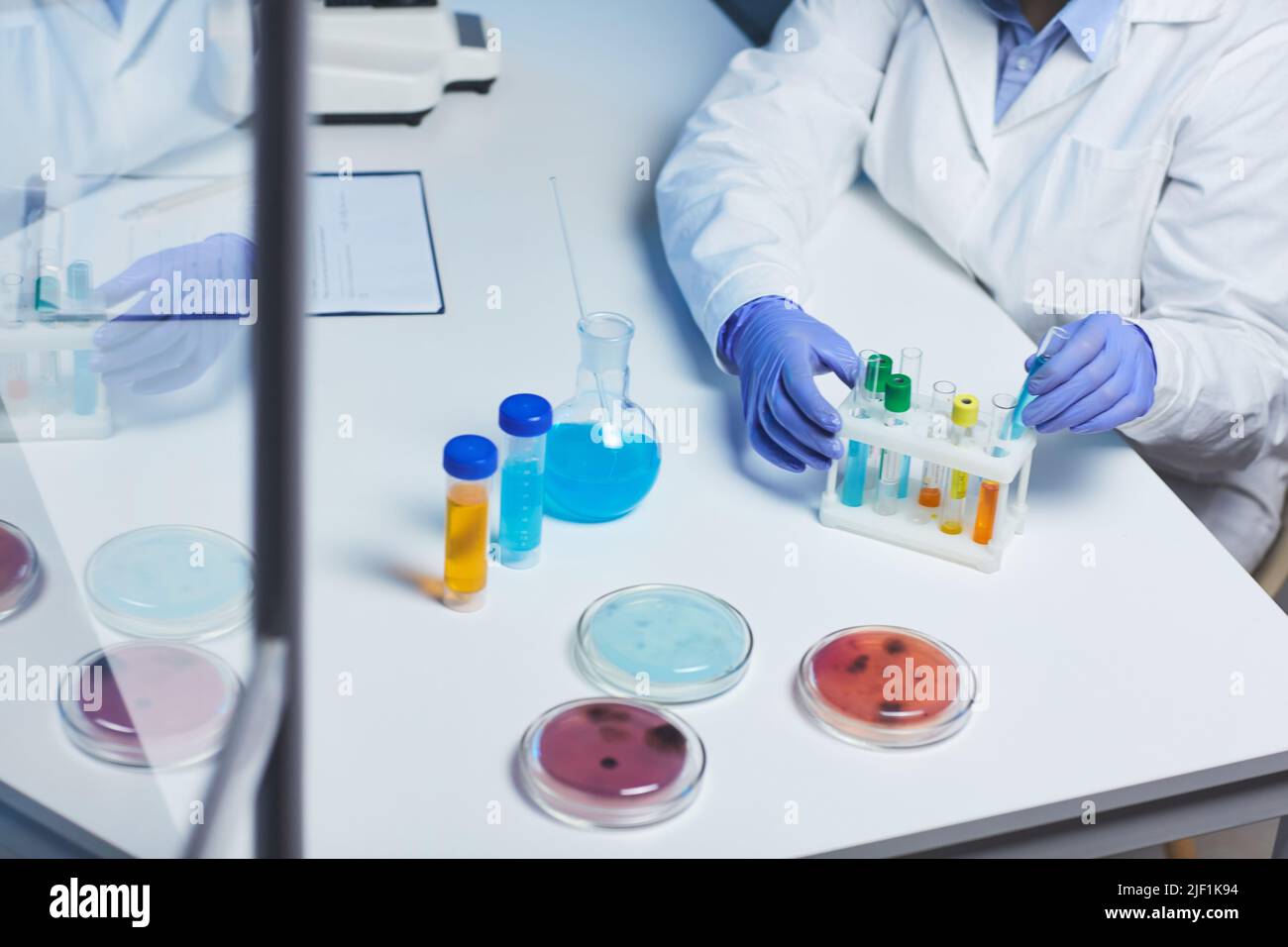 Nahaufnahme eines nicht erkennbaren Laboranten in weißer Schicht, der am Tisch sitzt und biologische Proben im Reagenzglasgestell sortiert Stockfoto