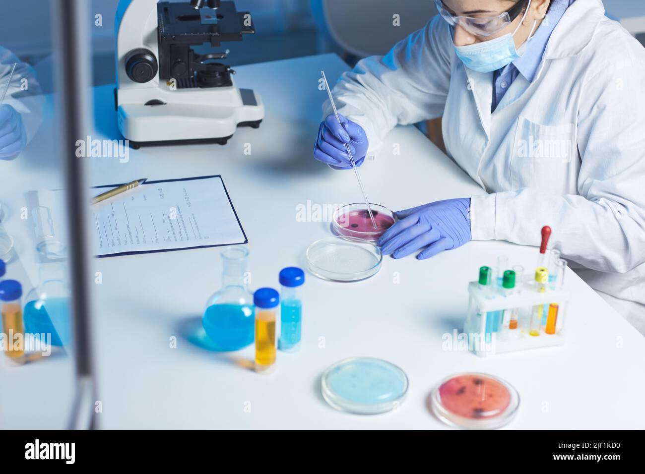 Beschäftigte Laborarbeiterin in weißem Mantel und Maske, die mit medizinischen Substanzen am Tisch sitzt und Bakterienproben in Petrischale analysiert Stockfoto