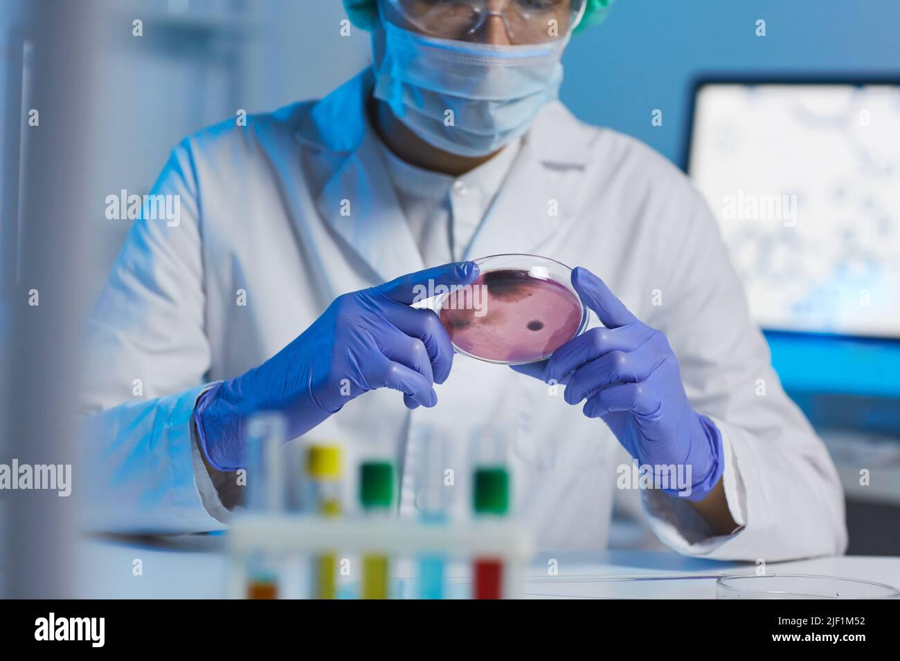 Nahaufnahme eines vielbeschäftigten Mikrobiologen in weißem Mantel und Gummihandschuhen, der am Schreibtisch sitzt und während der Arbeit im Labor Mikroorganismus in einer Petrischale betrachtet Stockfoto