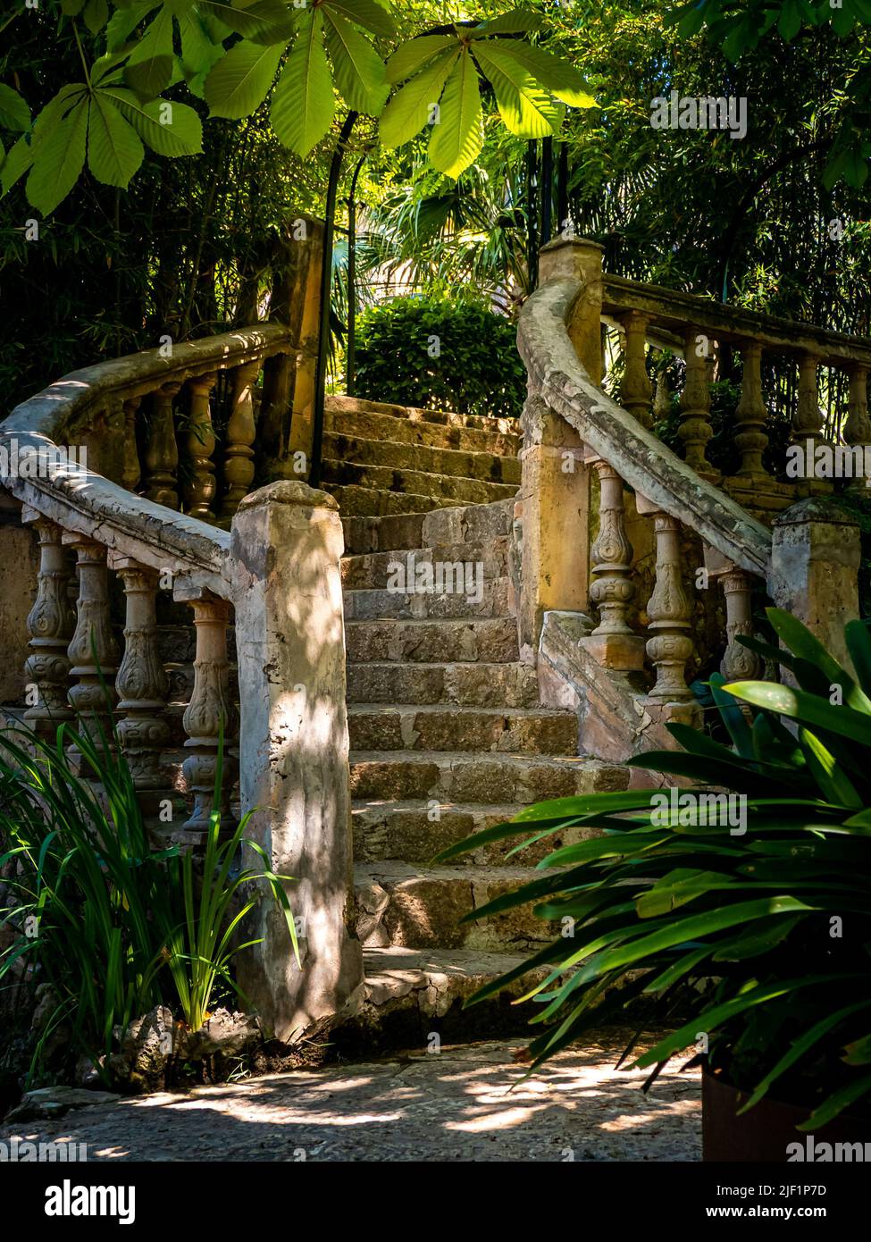 Porträt einer alten geschwungenen Steintreppe mit verwittertem Geländer in mediterraner Architektur inmitten von Pflanzen unter einem Kastanienbaum in einem Schattenbereich Stockfoto