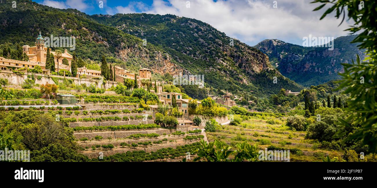 Blick über das Tal von Valldemossa auf Mallorca mit terrassenförmigen Hainen und den Türmen der Klosterkirche Iglesia de la Cartuja und Palast Stockfoto
