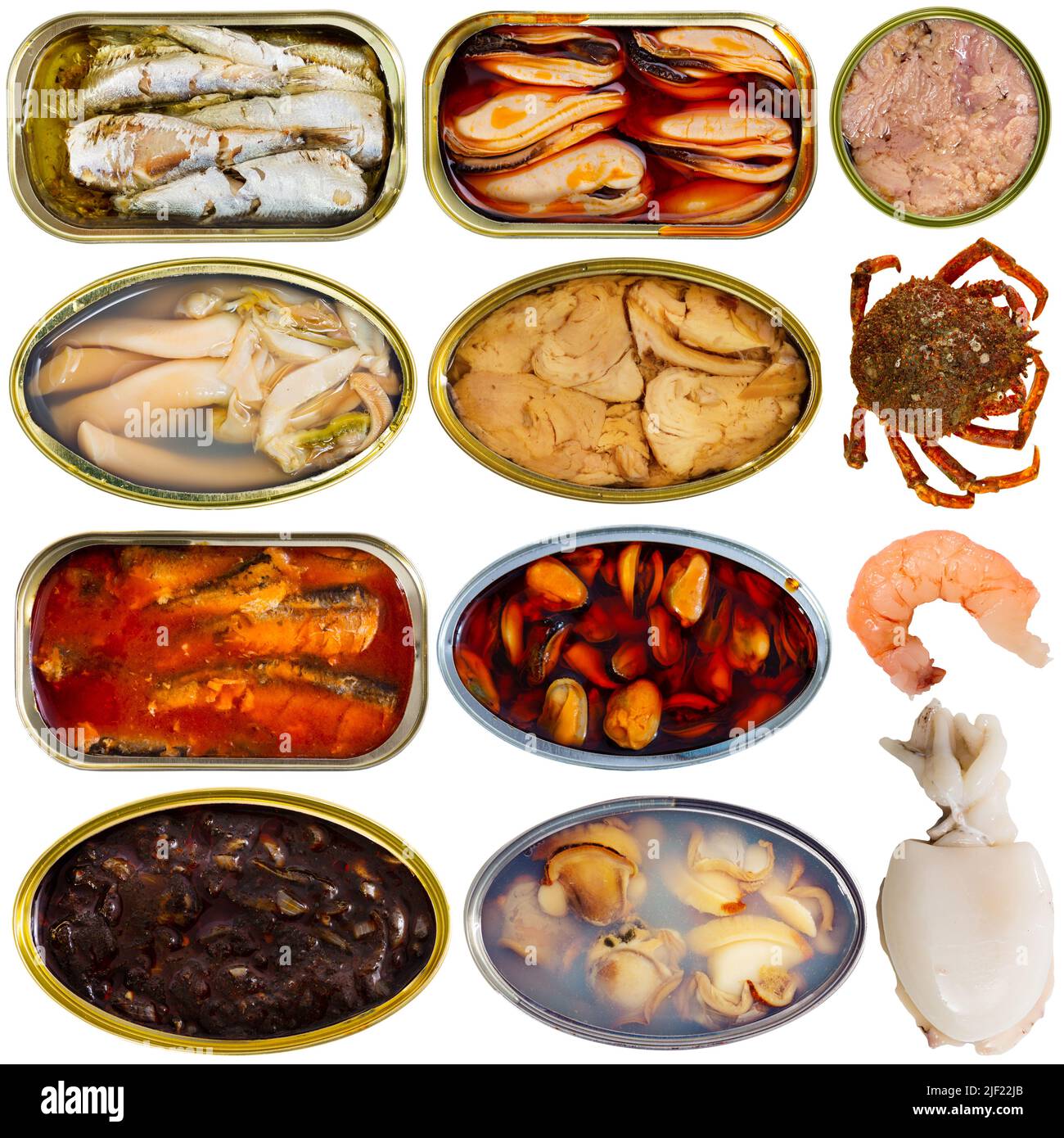 Verschiedene Fisch- und Meeresfrüchtegerichte. Stockfoto