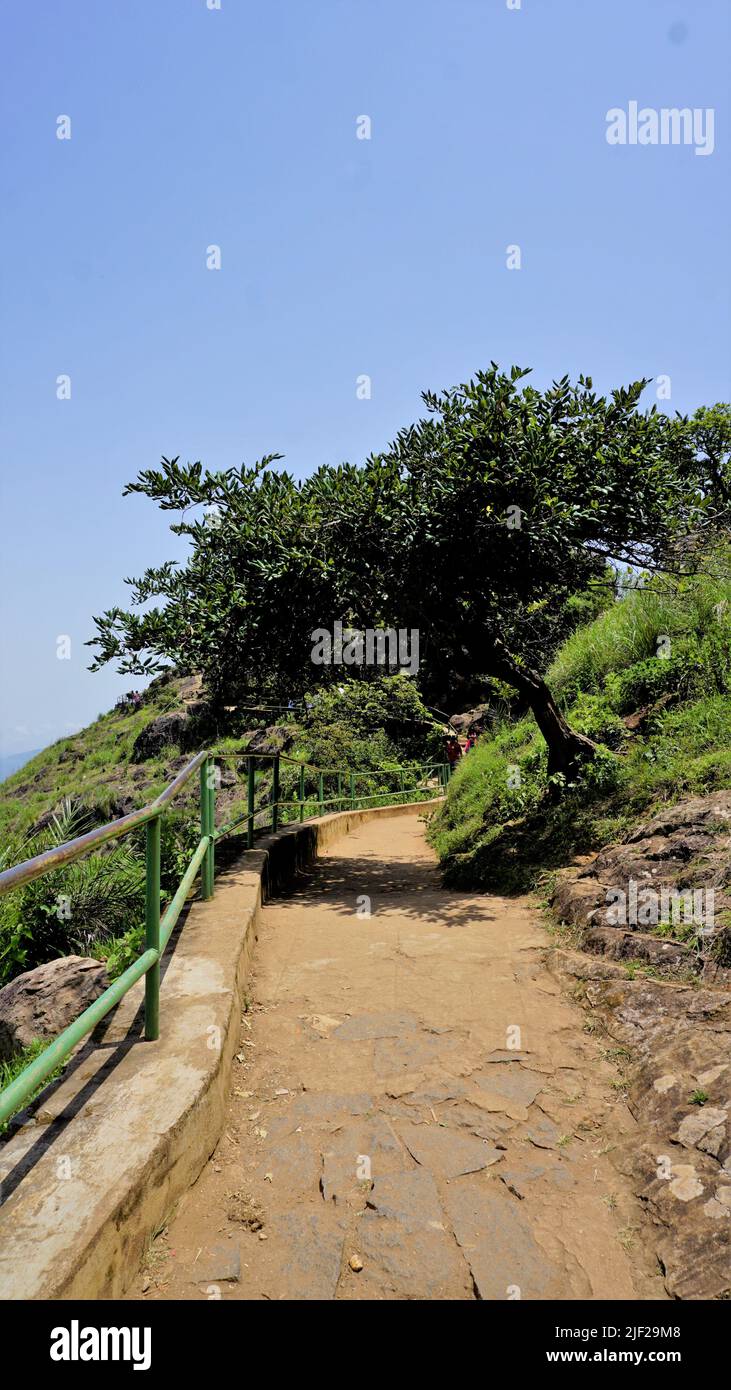 Schöner Sightseeing-Platz Nadelfelsen Aussichtspunkt oder Suicide Point an einem hellen sonnigen Tag. Beste Wander-, Trekking- und Treffpunkt für Touristen in Stockfoto