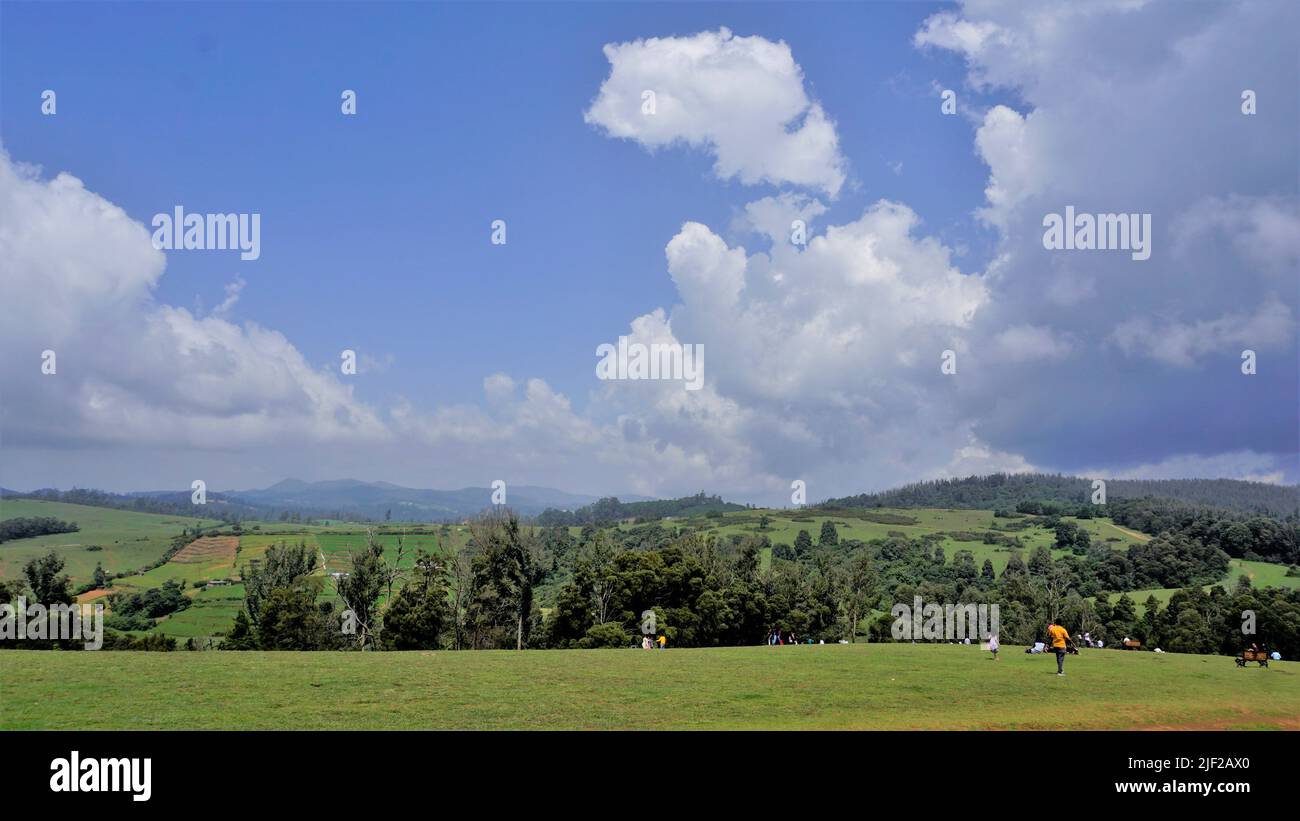 Ooty,Tamilnadu,Indien-Juni 04 2022:Touristen genießen schönen grünen erhöhten Rasen in ooty Drehort im Volksmund bekannt als Wenlock Downs 9. Mile Shoo Stockfoto