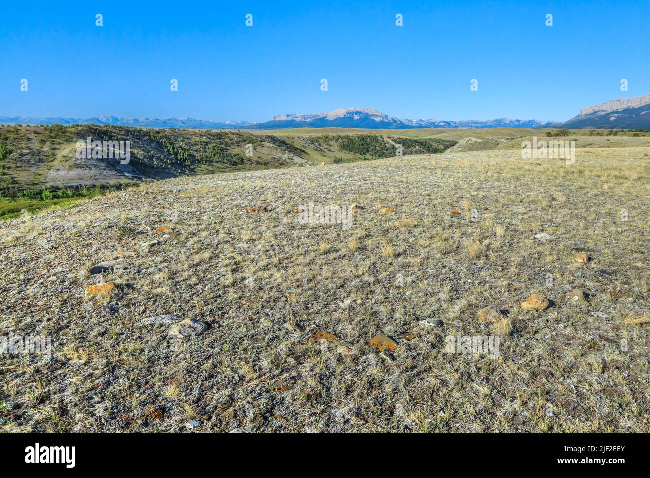 tipi Ring entlang des tiefen Baches Tal unterhalb der felsigen Bergfront in der Nähe von Choteau, montana Stockfoto