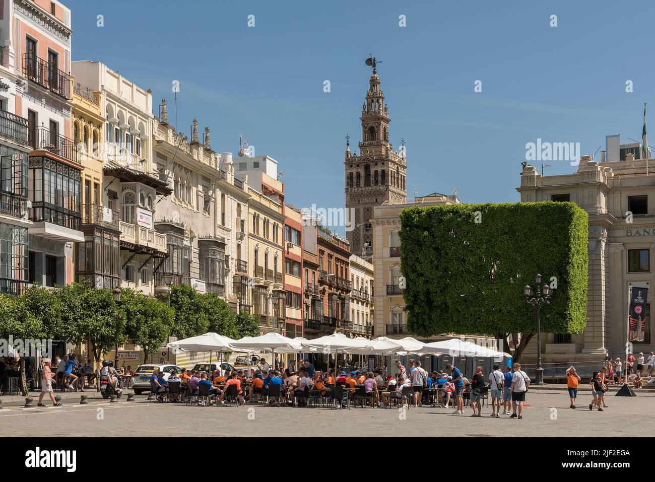 Blick auf den San Francisco Platz in der Innenstadt von Sevilla Stockfoto