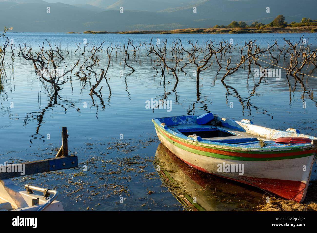 Boot am See Vegoritida, nördlicher Teil von Griechenland Stockfoto