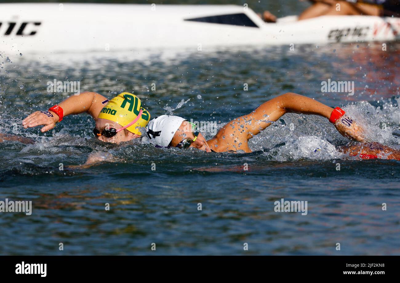 Schwimmen - FINA-Weltmeisterschaft - Freiwasser - Lupa-See, Budapest, Ungarn - 29. Juni 2022 Gesamtansicht beim Finale der Frauen 10km REUTERS/Lisa Leutner Stockfoto