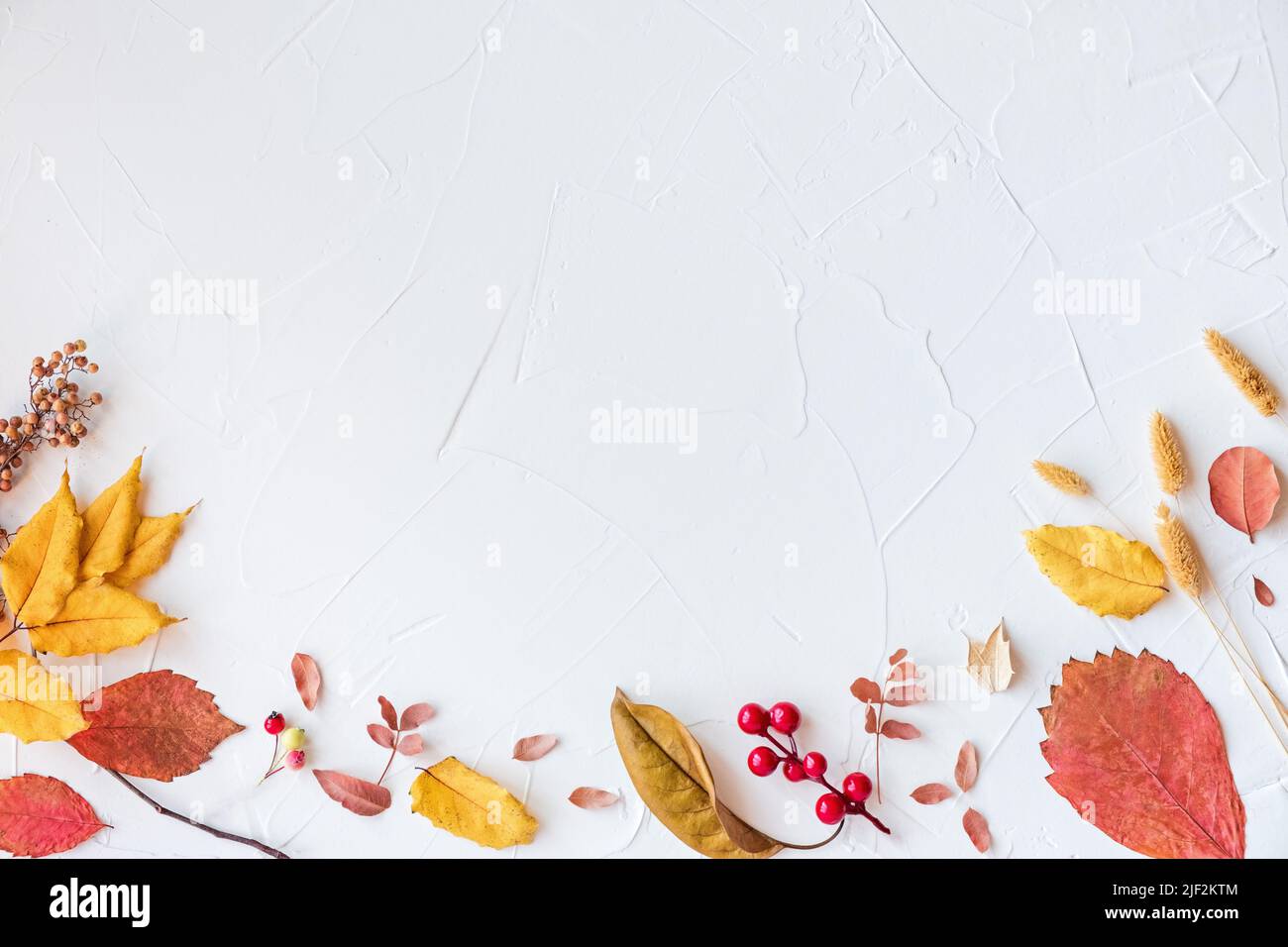 Flacher Lagenrahmen mit bunten Herbstblättern und Beeren auf weißem Hintergrund. Platz für Text. Hallo Herbstkonzept Stockfoto