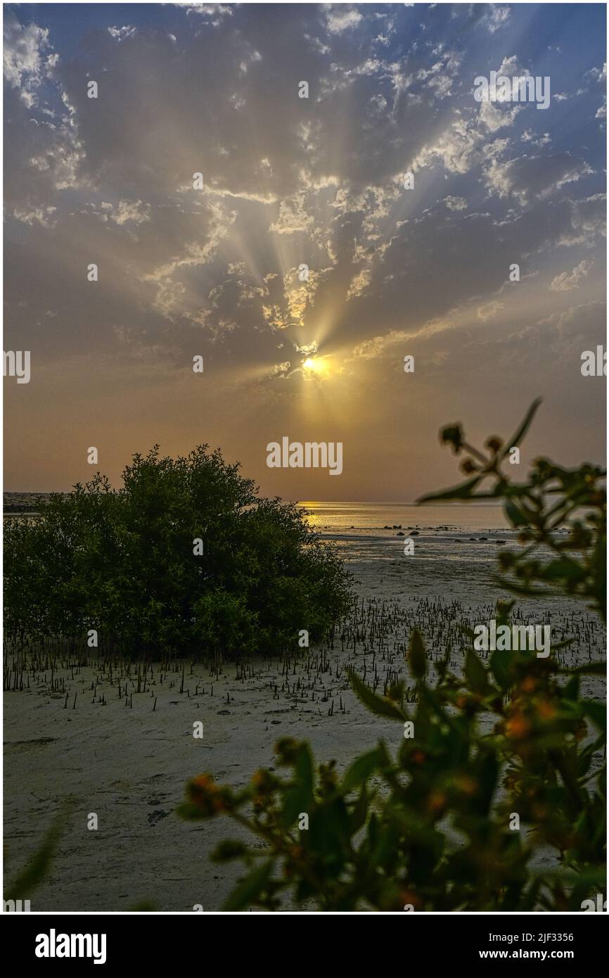 Simaisma Sonnenaufgang Katar Stockfoto