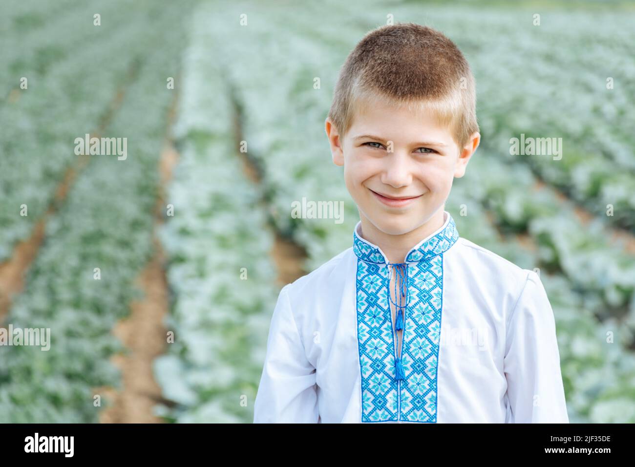 Soft selective Focus Kind in einem gestickten ukrainischen Hemd auf einem Hintergrund eines Feldes von Grünkohl. Der Junge lächelt. Landwirtschaft, Gemüse, Agroindustrie. Die Ukraine baut Nahrung an. Reife Ernte. Stockfoto