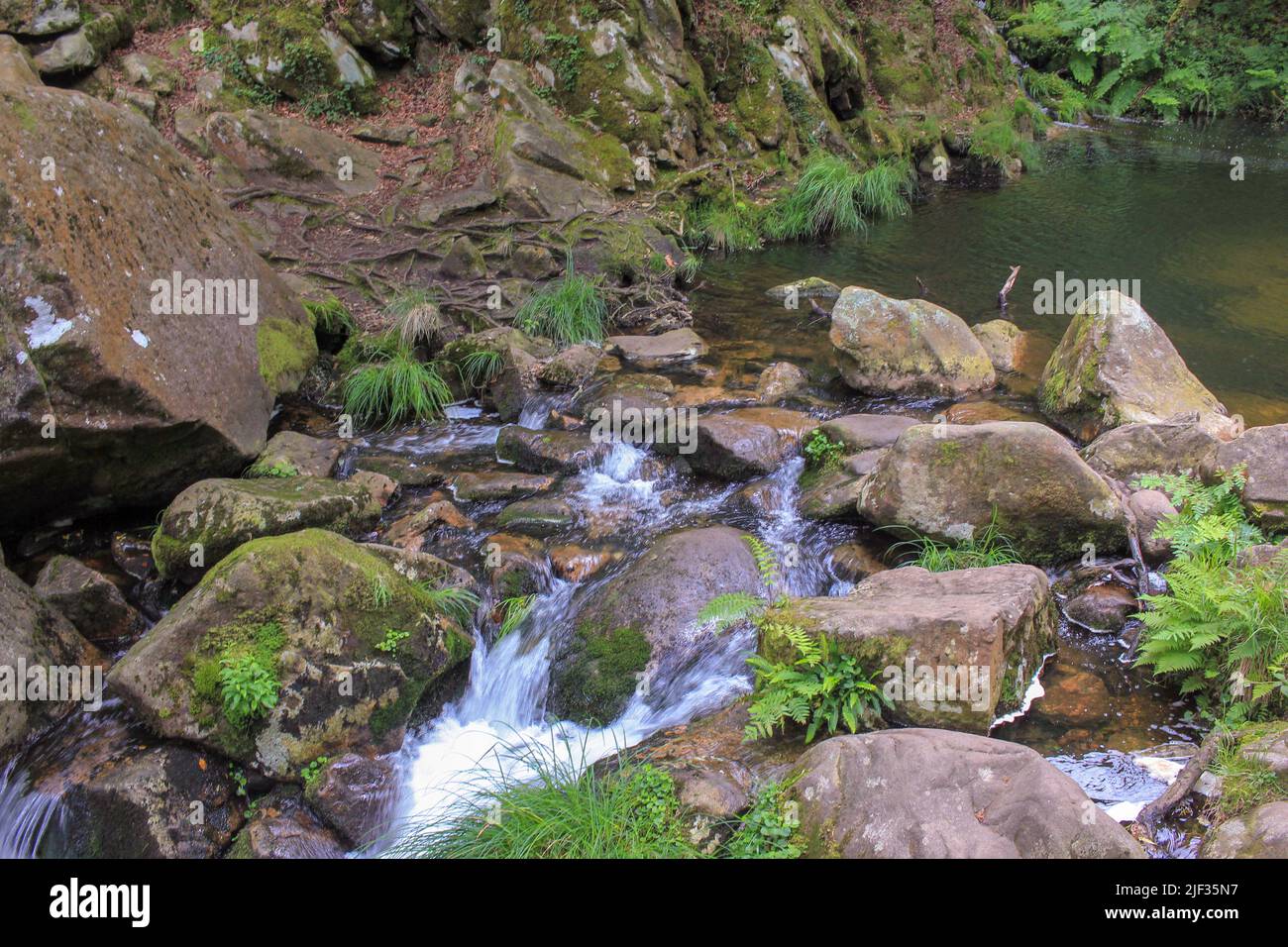 Auf meinem Weg durch den Wald fand ich einen kleinen Bach, der mitten in den Felsen fließt Stockfoto