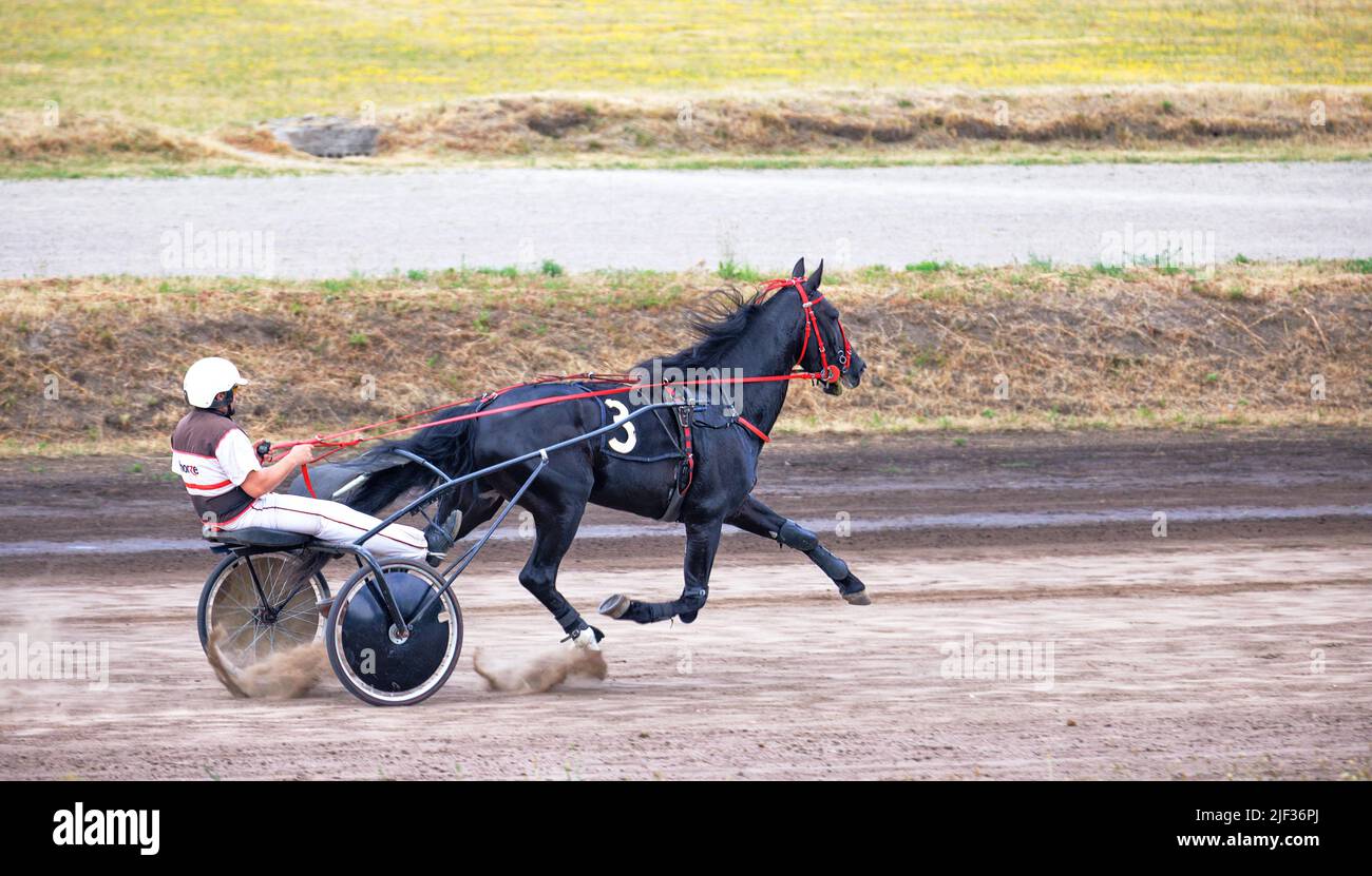 Wagenrennen auf dem Hippodrom. Reiten. 06.26.2022. Kiew. Ukraine. Stockfoto