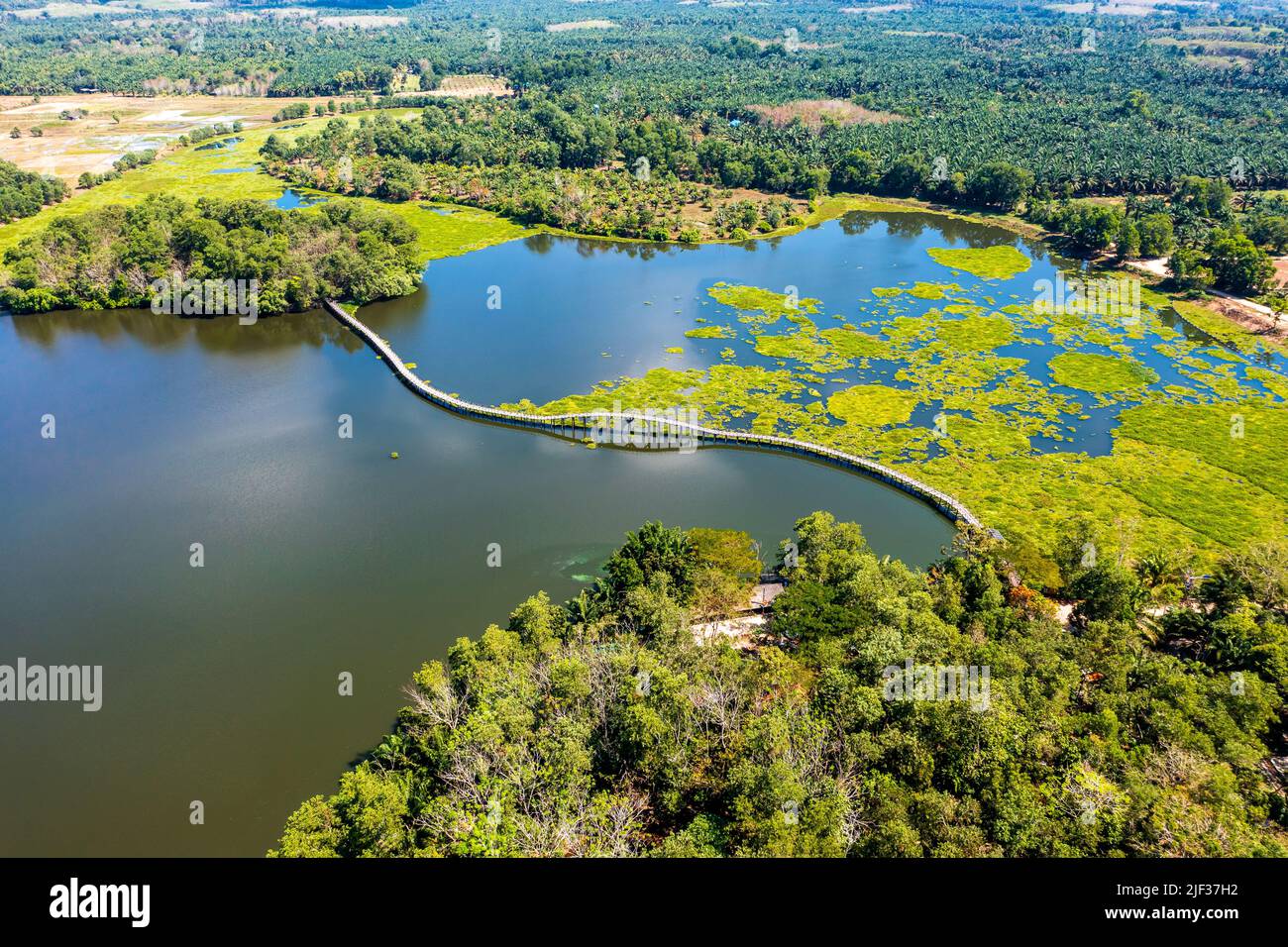 Nong Yai Teich und Holzbrücke in Chumphon, Thailand Stockfoto