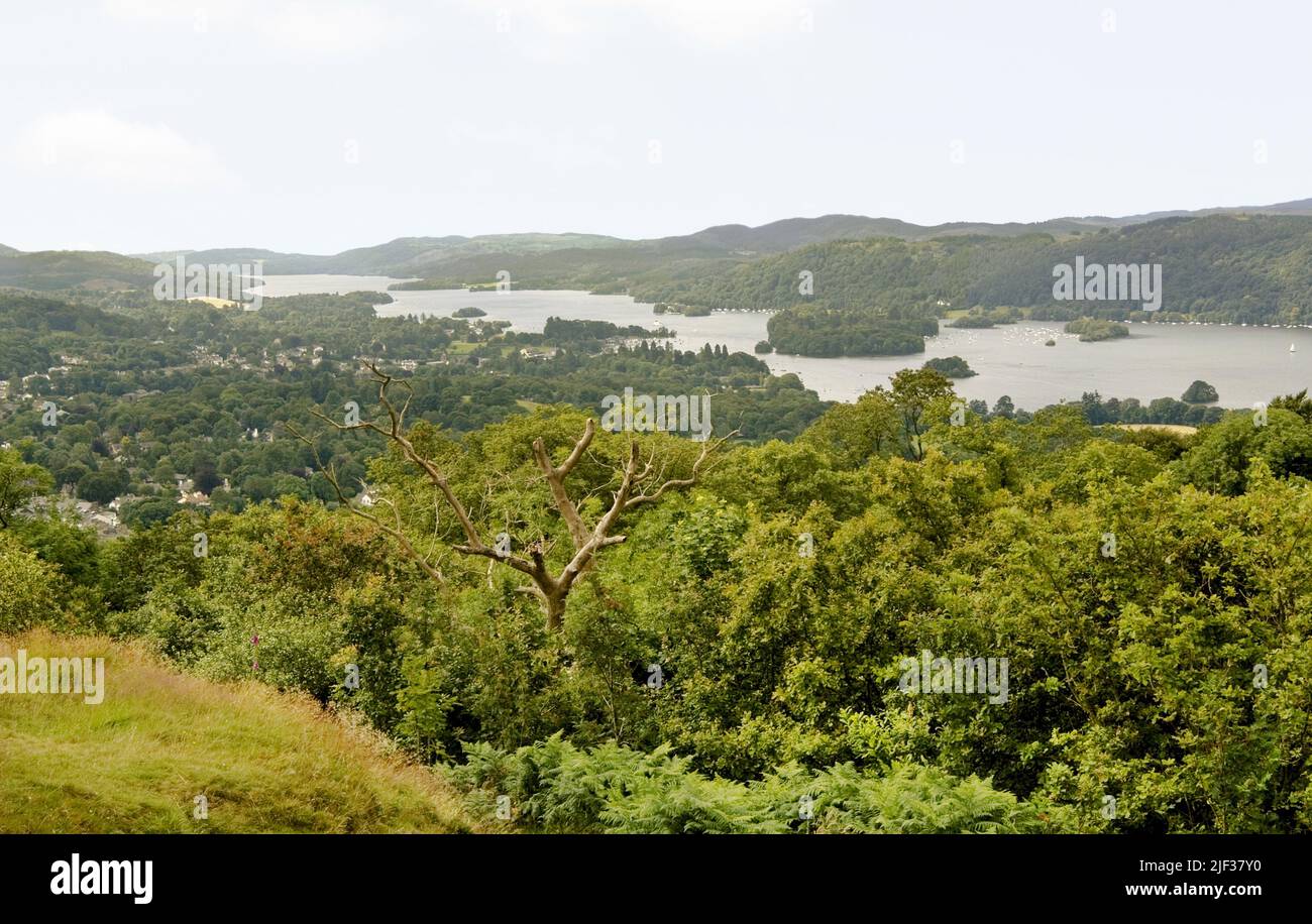Der Lake District in der Nähe von Windermere, Großbritannien, England Stockfoto