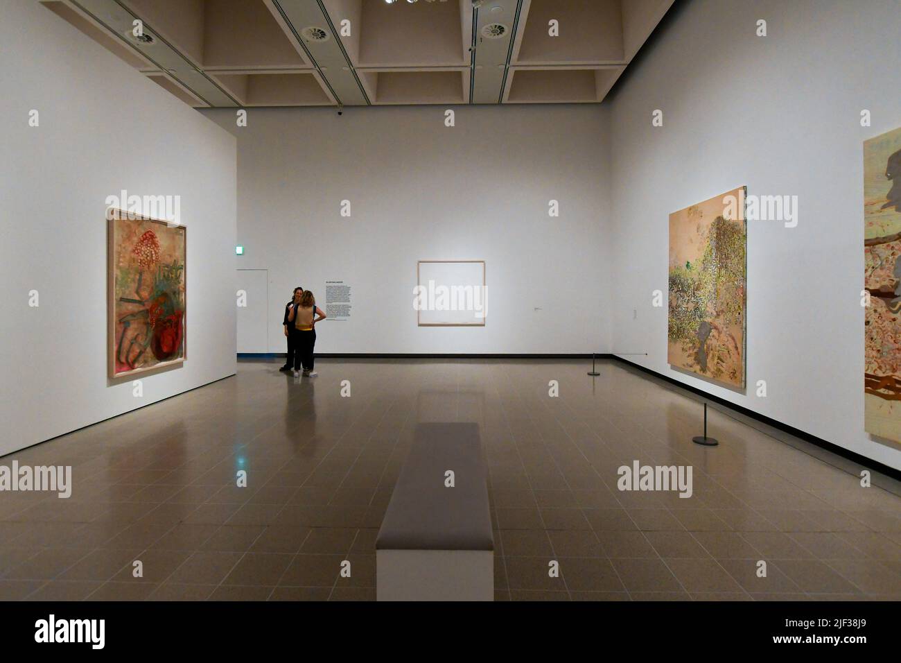 London, Großbritannien, 28.. Juni 2022, in The Black Fantastic am 29.. Juni bis 18.. September 2022 eröffnet eine große neue Ausstellung in der Hayward Gallery, London. Sie zelebrieren afrikanische Kunst von elf zeitgenössischen Künstlern und erforschen Science Fiction, Mythos und Afrofuturismus, um unser Wissen über die Welt in Frage zu stellen. Kuratiert von Ekow Eshun, Künstler sind Nick Cave, Sedrick Chisom, Ellen Gallagher, Hew Locke, Wangechi Mutu, Rashaad Newsome, Chris Ofili, Tabita Rezaire, Cauleen Smith, Lina Iris Viktor und Kara Walker., Andrew Lalchan Photography/Alamy Live News Stockfoto