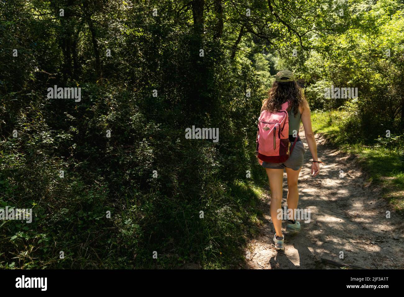 Brünette Frau zu Fuß in den Wald Stockfoto