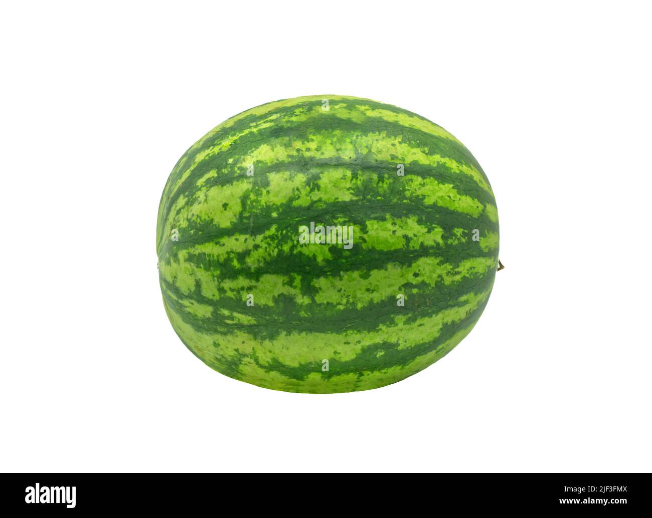Der ganze Körper aus frischer Wassermelone, Seitenansicht, isoliert die ganze Wassermelone auf weißem Hintergrund. Stockfoto