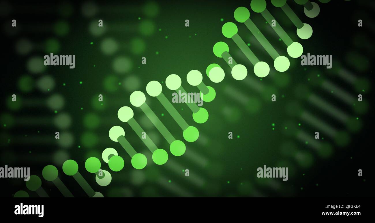 Bild von dna-Strang und Datenverarbeitung auf grünem Hintergrund Stockfoto