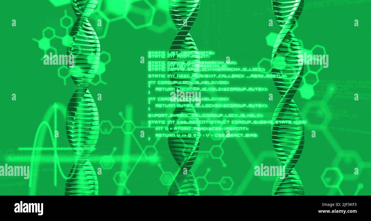 Bild von dna-Strang und Datenverarbeitung auf grünem Hintergrund Stockfoto