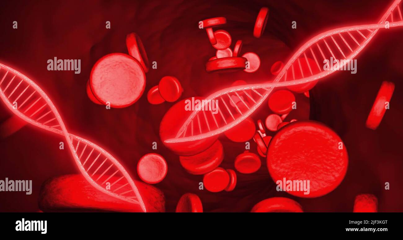 Bild von dna-Strängen und Blutzellen auf rotem Hintergrund Stockfoto