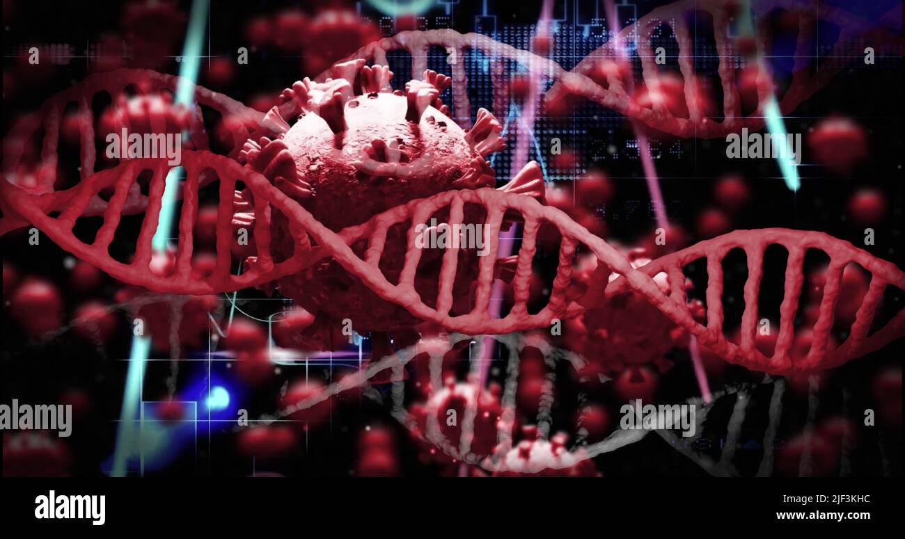 Abbildung von dna-Strängen und Viruszellen auf schwarzem Hintergrund Stockfoto