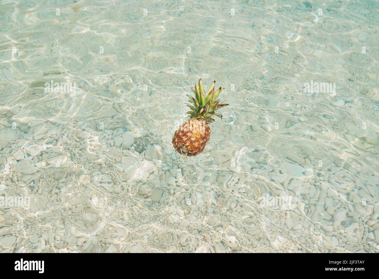 Exotische Ananas-Frucht Symbol des Sommers schwimmend im blauen tropischen Ozeanwasser gesunde Bio-Ernährung Lebensmittel Stockfoto