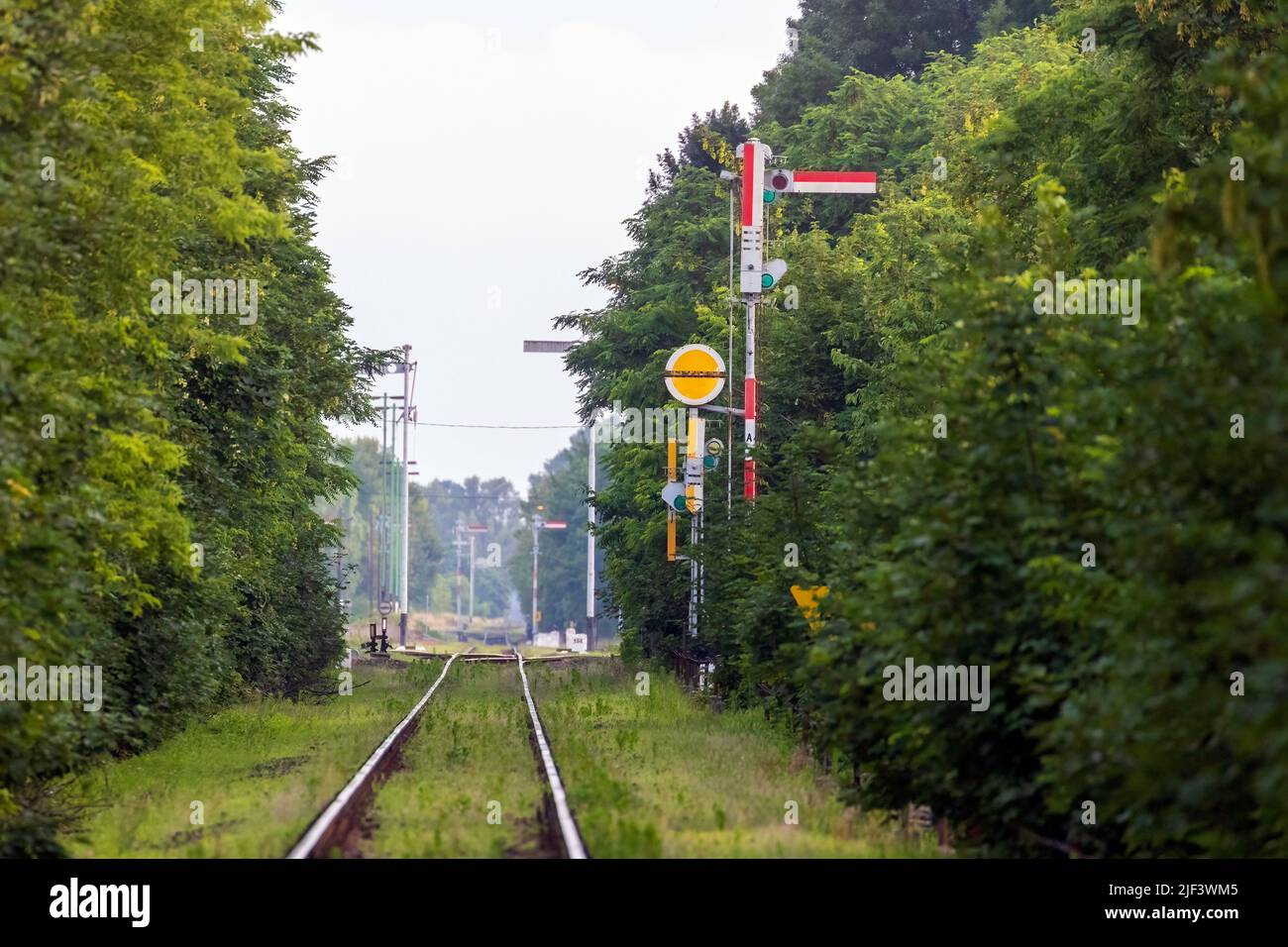 Eisenbahnstrecke und grüne Infrastruktur Stockfoto