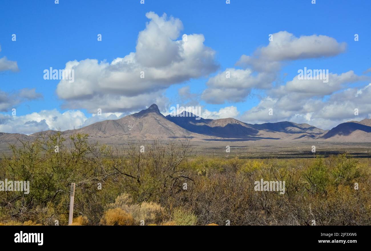 New Mexico Wüstenlandschaft, hohe Berge im Hintergrund der Wüste und dürretolerante Pflanzen, New Mexico Stockfoto