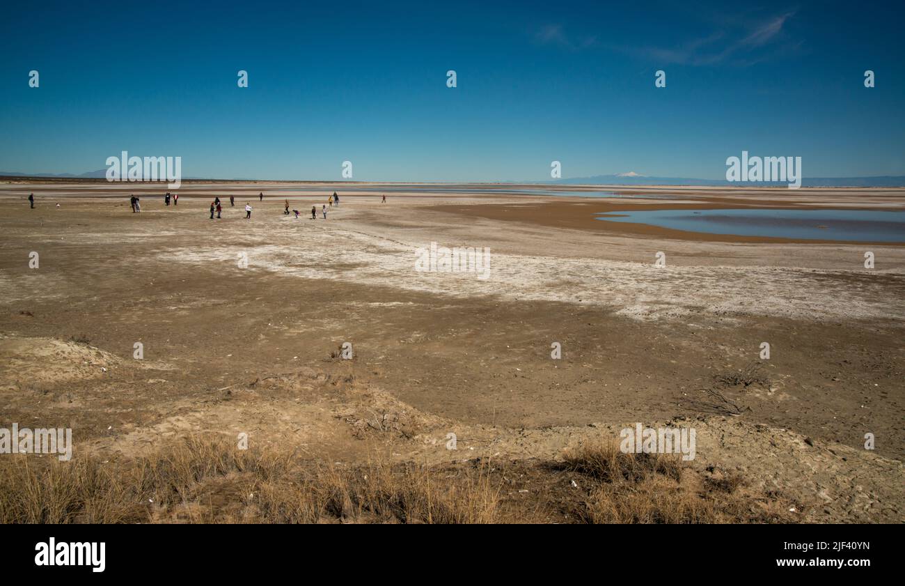 Lucero Lake, Gipskristalle auf dem Grund eines getrockneten Sees, New Mexico USA Stockfoto