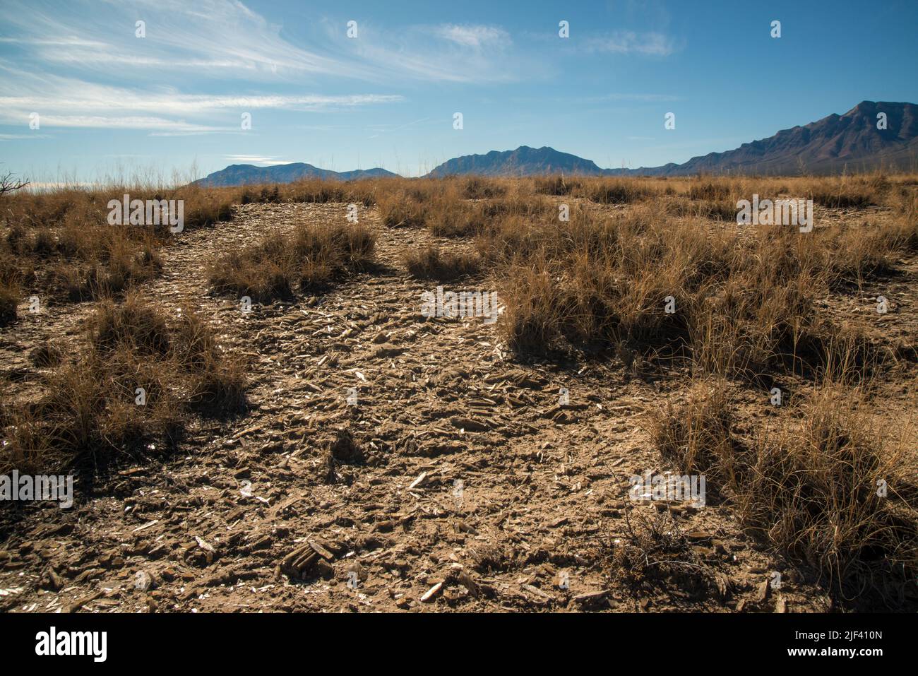 Wüstenlandschaft in New Mexico, Gipskristalle am Grund eines getrockneten Sees, dem Lucero Lake Stockfoto