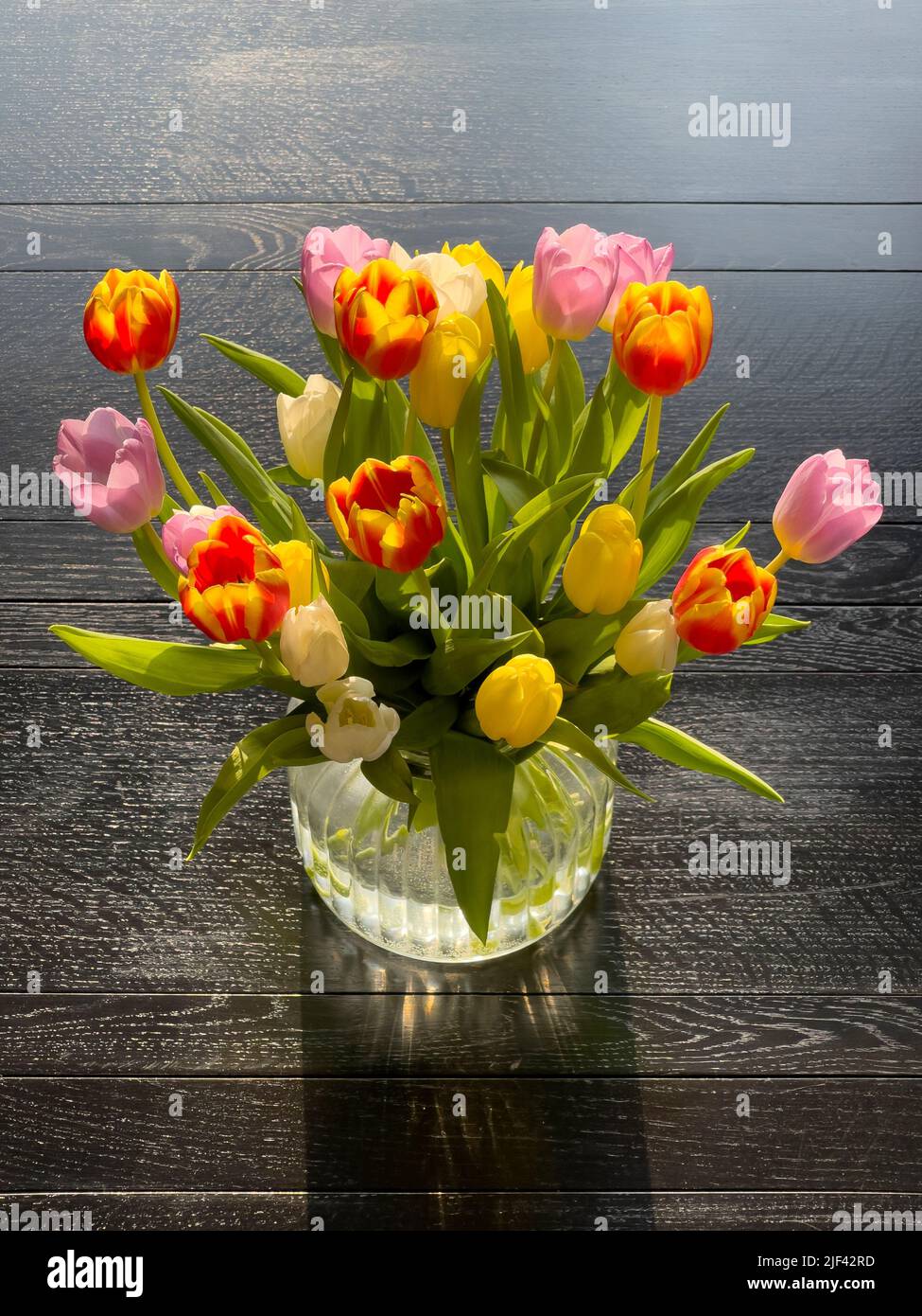Farbenfrohe Tulpenblumen in einer Glasvase auf einem schwarzen Holztisch Stockfoto