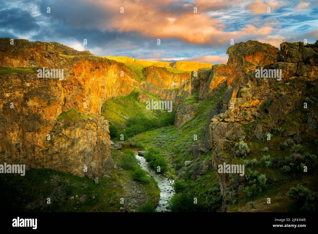 Beistand Creek Canyon mit Sonnenuntergang. Malheur Grafschaft, Oregon Stockfoto