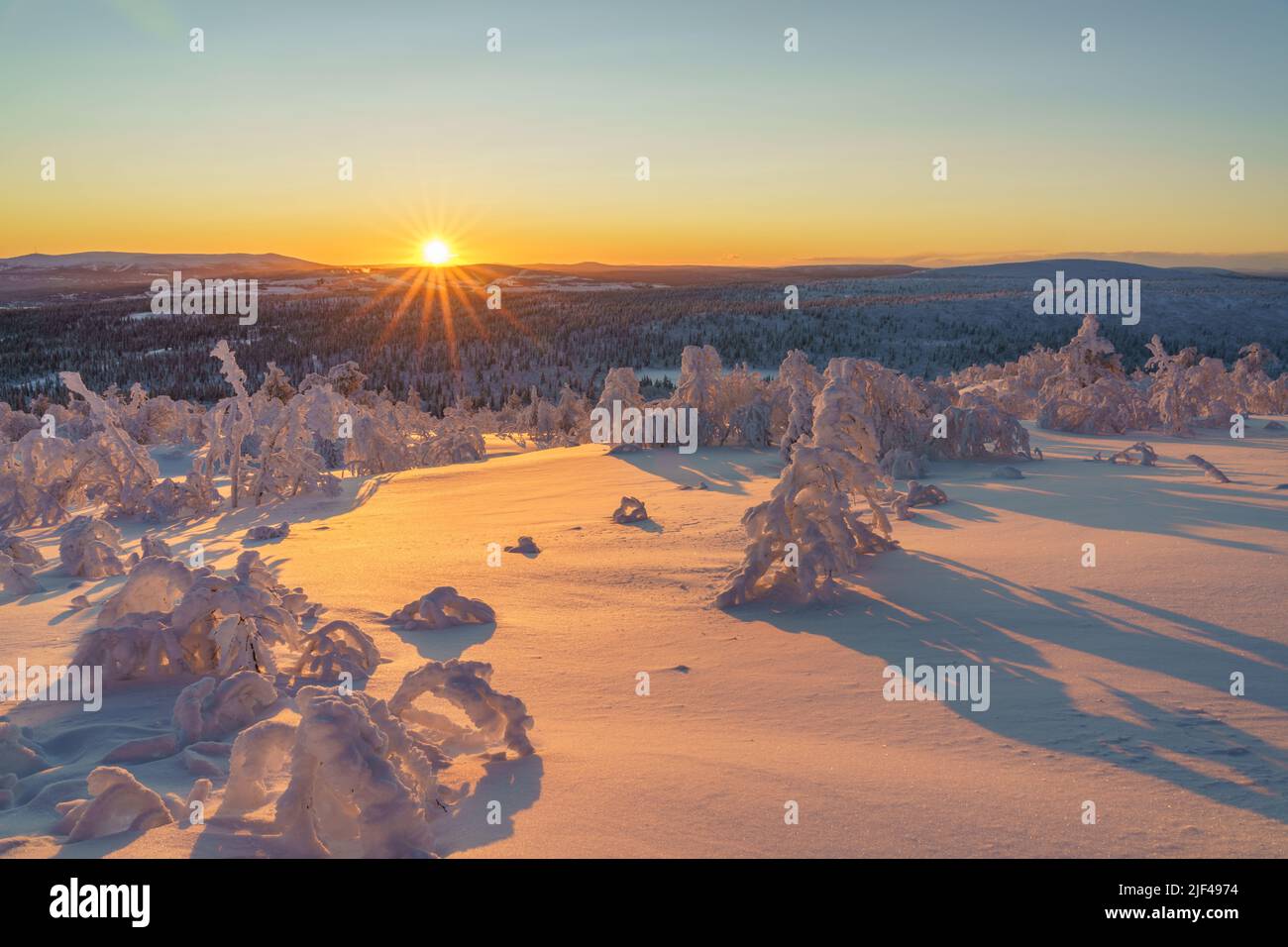 Winterlandschaft bei Sonnenuntergang mit verschneiten Bäumen, buntem Himmel und direktem Licht, Gällivare County, Schwedisch Lappland, Schweden Stockfoto