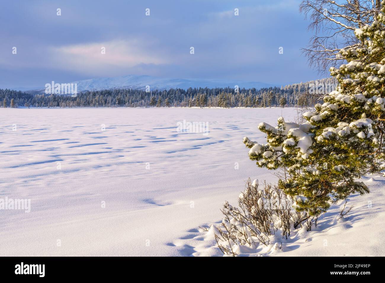 Winterlandschaft mit Sturm und dunklen Wolken, Berg im Hintergrund und schönem Licht, Gällivare County, Schwedisch Lappland, Schweden Stockfoto