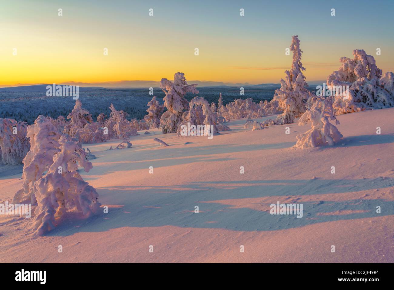 Winterlandschaft mit schönem Licht, viel Schnee, Berge im Hintergrund, verschneite Bäume, Gällivare County, Schwedisch Lappland, Schweden Stockfoto
